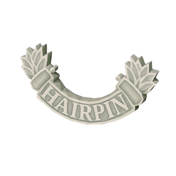 Hairpin Store